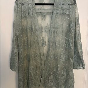 Belle by Kim Gravel Lace Sheer Blouse - Soft Green
